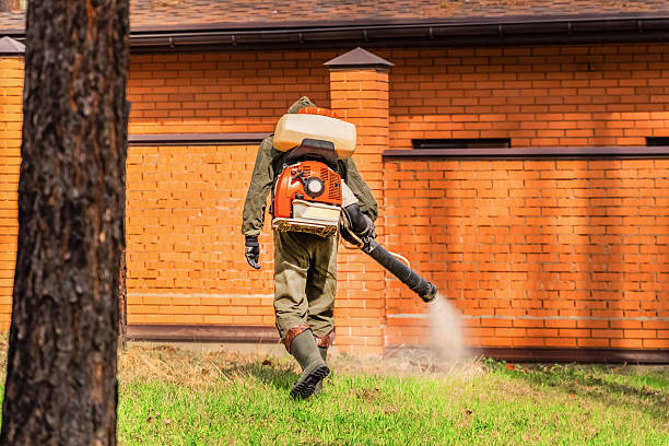 Trusted Termite Control service in Gibsonia, PA - Nex Pest Control